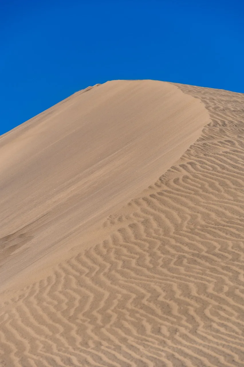 dune, sand, wilderness